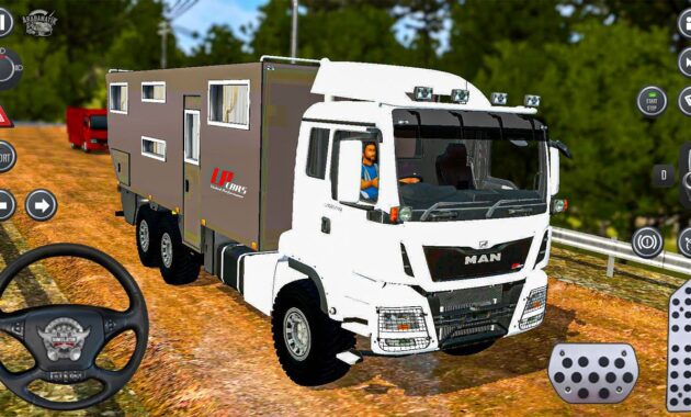 Truk MAN HOME LPcars